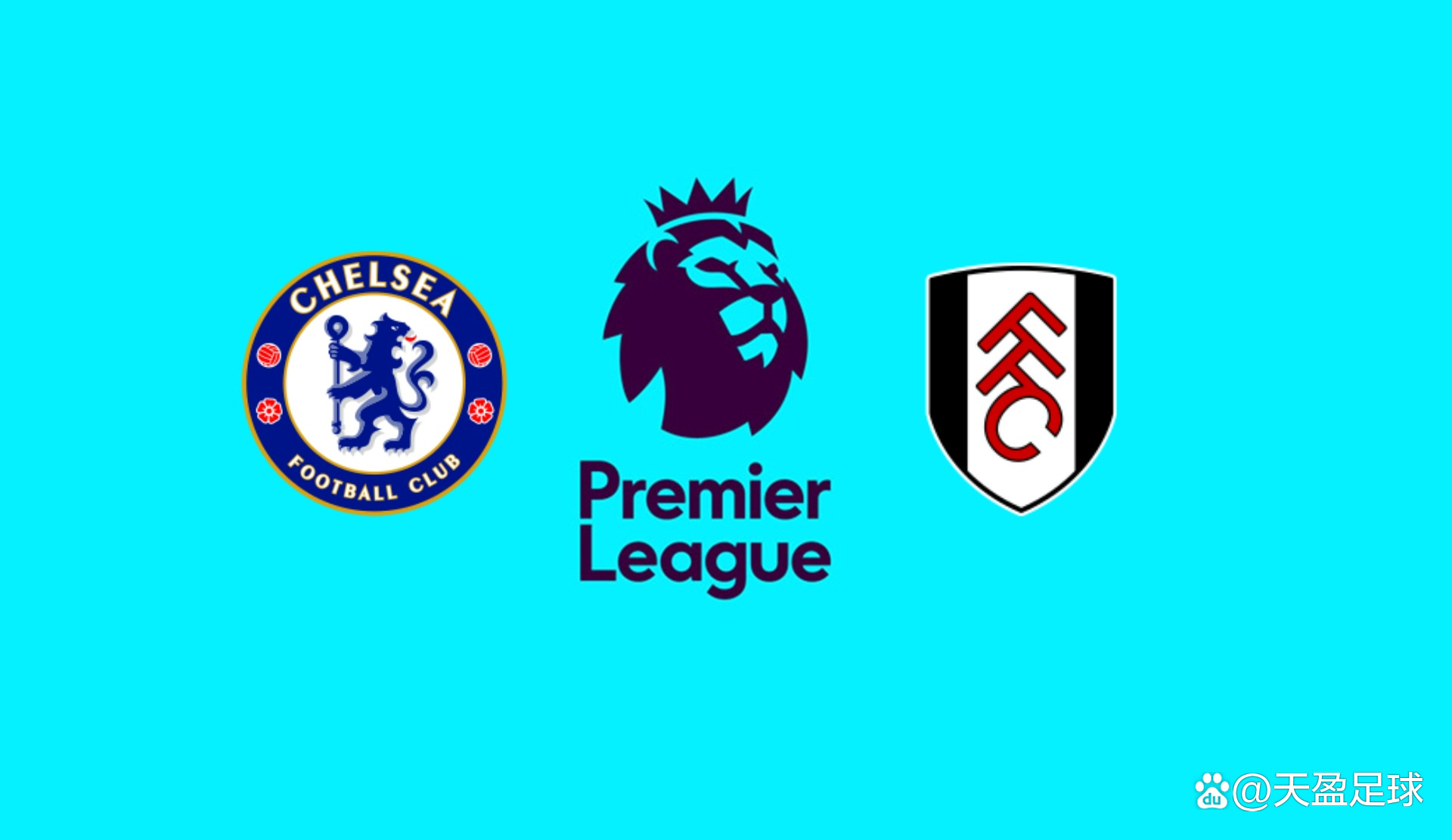 带大力神杯亮相，斯卡洛尼：上届决赛令人难忘，我们会再努力